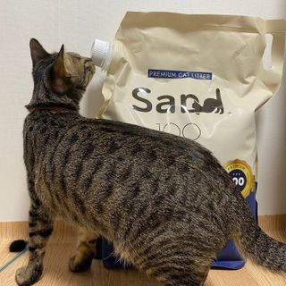 다정최님이 올린 리뷰 사진 1