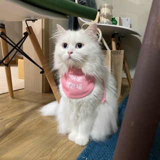 ㄹ진님이 올린 리뷰 사진 3