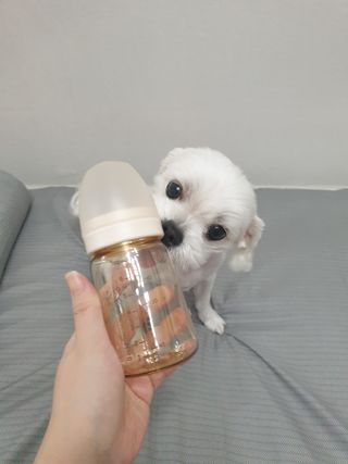 뽀야님이 올린 리뷰 사진 1