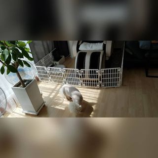 물끼님이 올린 리뷰 사진 4