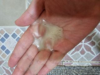 프리마인 더이상 뻣뻣하고 효과없는 탈모샴푸는 NO. 근본부터 케어하는 셀베이스 그린티샴푸(500ml) — 5점을 준 리뷰어가 2023년 5월 올린 사용 사진