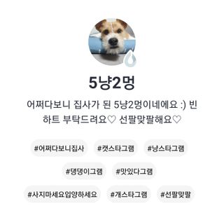 5냥2멍님이 올린 리뷰 사진 3