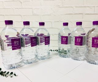 도토리님이 올린 리뷰 사진 1