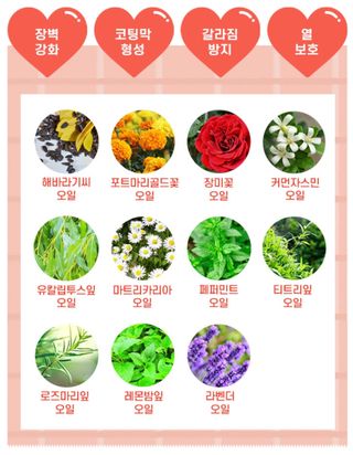 켈리심님이 올린 리뷰 사진 4