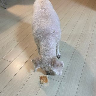 나은님이 올린 리뷰 사진 4