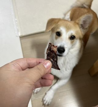 슬이님이 올린 리뷰 사진 2