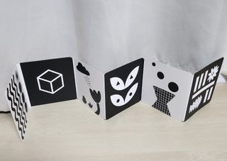 샤키님이 올린 리뷰 사진 2