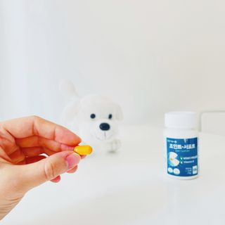 에이치알팜 조인트-서포트 보스웰리아 MSM 650mg x 120정 — 4.5점을 준 리뷰어가 2021년 5월 올린 사용 사진