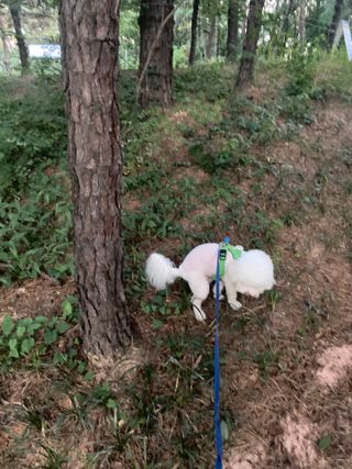 갱스님이 올린 리뷰 사진 3