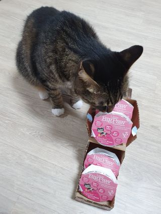 오드리고딩님이 올린 리뷰 사진 3