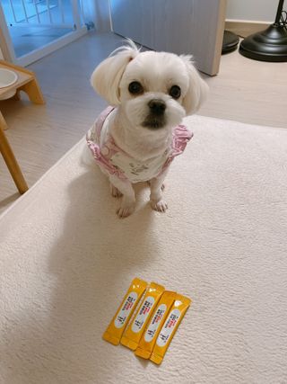 름님이 올린 리뷰 사진 4