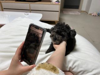 김서경님이 올린 리뷰 사진 2