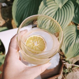 시골마님님이 올린 리뷰 사진 3