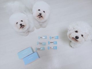 페페로니 2종 세트 클린플러스 덴탈껌 치킨+덕 — 5점을 준 리뷰어가 2021년 8월 올린 사용 사진