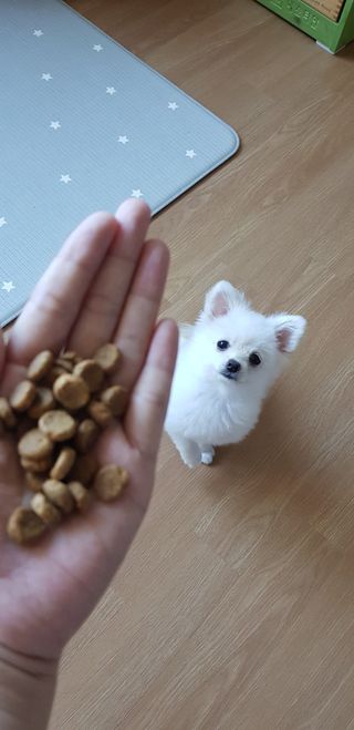 JinyoungKim님이 올린 리뷰 사진 4