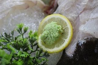 백호와님이 올린 리뷰 사진 4