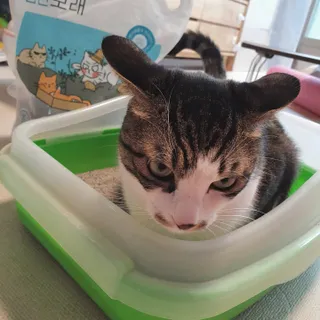 홍양님이 올린 리뷰 사진 1