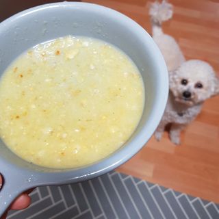 베이컨박스 [BACON] 강아지 수제간식 간편 동결건조 스튜 2종 - 황태, 초록 홍합 — 4점을 준 리뷰어가 2020년 12월 올린 사용 사진