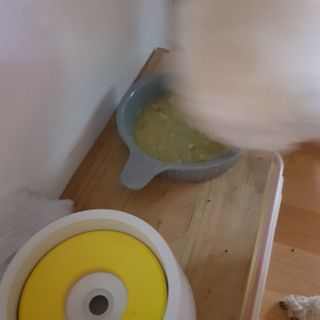 베이컨박스 [BACON] 강아지 수제간식 간편 동결건조 스튜 2종 - 황태, 초록 홍합 — 4점을 준 리뷰어가 2020년 12월 올린 사용 사진