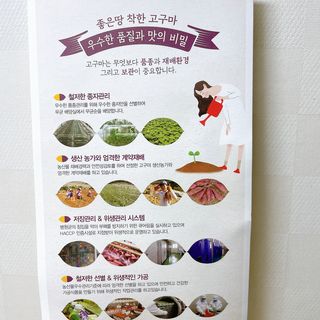 박클님이 올린 리뷰 사진 3