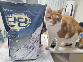 오나오나님이 올린 리뷰 사진 1