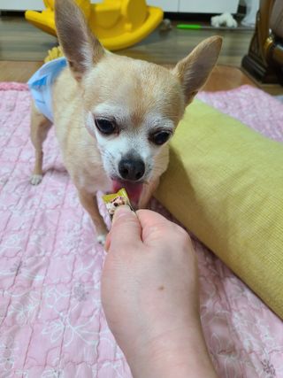 복덩이님이 올린 리뷰 사진 3