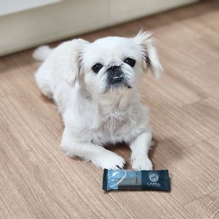 환희님이 올린 리뷰 사진 1