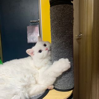 슈님이 올린 리뷰 사진 4