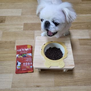 mini unni님이 올린 리뷰 사진 4