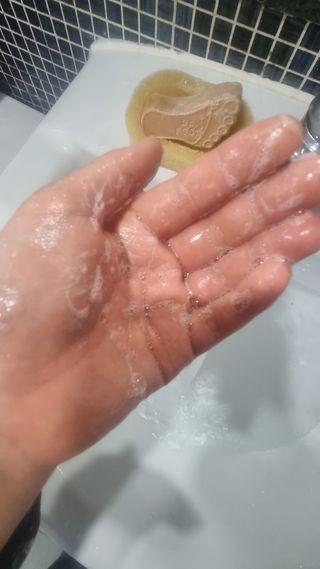 내장산속리산님이 올린 리뷰 사진 2