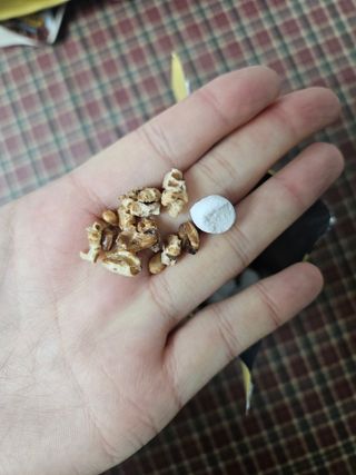 스낵스 와그작후루룩 3종_카카오2봉+아몬드2봉+딸기2봉 (총 6봉) — 4점을 준 리뷰어가 2024년 2월 올린 사용 사진