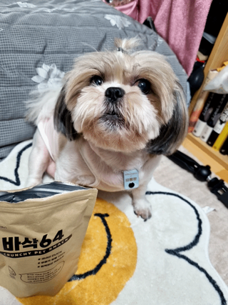 [보헤리] 국내산 강아지 육포간식 바삭 64 2종 — 5점을 준 리뷰어가 2022년 3월 올린 사용 사진