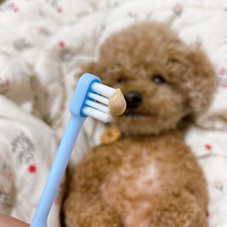 파이님이 올린 리뷰 사진 1
