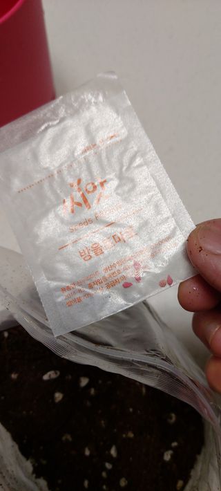 복도리님이 올린 리뷰 사진 4