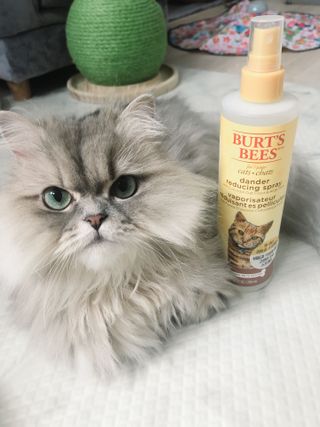꼬끼오님이 올린 리뷰 사진 2