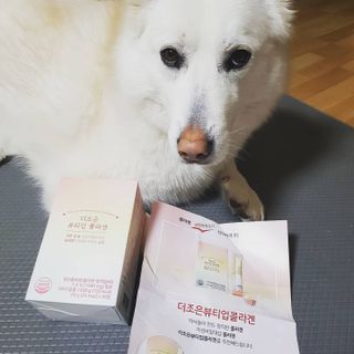 딸랑구둘🥰님이 올린 리뷰 사진 3