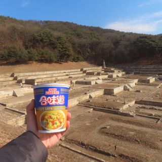 NISSIN 닛신 컵누들  4종 - 씨푸드오리지날, 씨푸드 스파이시, 씨푸드 커리, 씨푸드 XO소스 — 5점을 준 리뷰어가 2021년 12월 올린 사용 사진