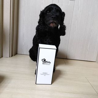 예민한 피부를 위한 코코몰리 All in one 자연유래 샴푸 — 5점을 준 리뷰어가 2021년 3월 올린 사용 사진