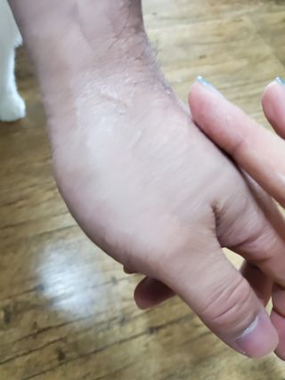 오투에니원 갈락토미세스 비타민 C 프리미엄 블랙스완 크림 50g — 5점을 준 리뷰어가 2023년 1월 올린 사용 사진