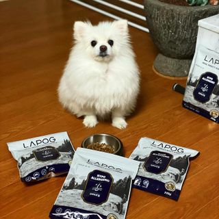 [푸디웜] 라포그 리얼인섹트 소프트키블 스킨 1KG — 5점을 준 리뷰어가 2022년 9월 올린 사용 사진