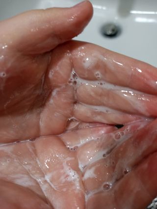 프리마인 더이상 뻣뻣하고 효과없는 탈모샴푸는 NO. 근본부터 케어하는 셀베이스 그린티샴푸(500ml) — 5점을 준 리뷰어가 2023년 5월 올린 사용 사진