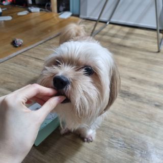 둥이님이 올린 리뷰 사진 1