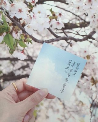 heajung86님이 올린 리뷰 사진 3