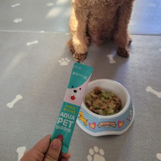 펫시랩 반려견용 액상 프리바이오틱스 아쿠아펫 — 5점을 준 리뷰어가 2021년 1월 올린 사용 사진