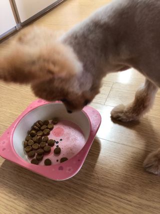 다솜이마마님이 올린 리뷰 사진 4