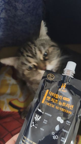 나초단맘님이 올린 리뷰 사진 1