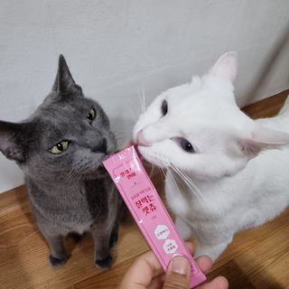 엘보리님이 올린 리뷰 사진 2