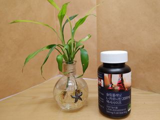 슬림플래닛 L카르니틴 2000mg 엑서사이즈 — 5점을 준 리뷰어가 2021년 3월 올린 사용 사진