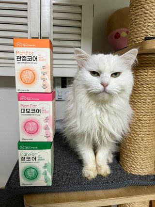 언제나님이 올린 리뷰 사진 1