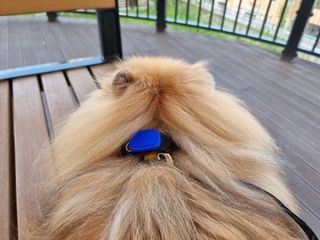 아롱이님이 올린 리뷰 사진 3